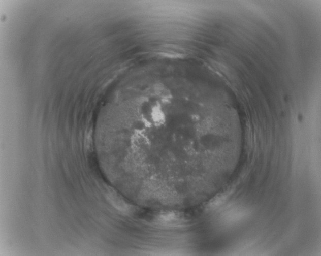 X0000066090177200603171104