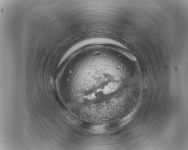 X0000066090178200603171104