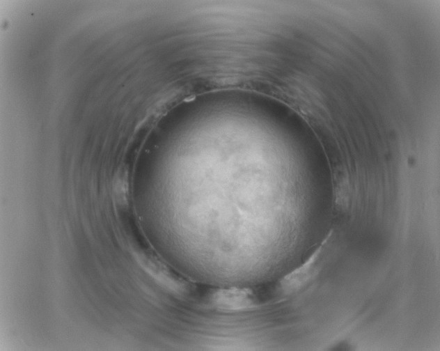 X0000066090179200603171104