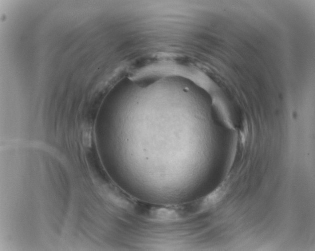 X0000066090180200603171104