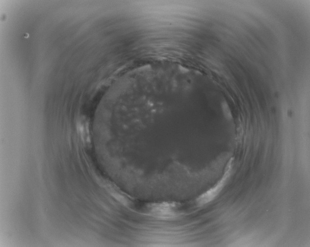 X0000066090182200603171104