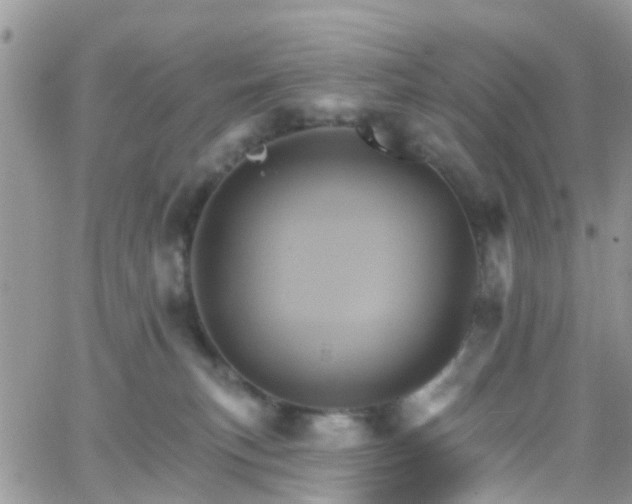 X0000066090183200603171104