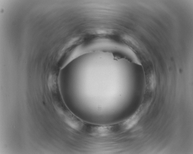 X0000066090184200603171104