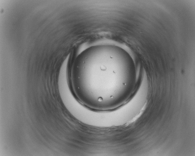 X0000066090186200603171105