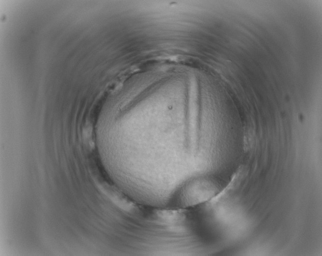 X0000066090187200603171105