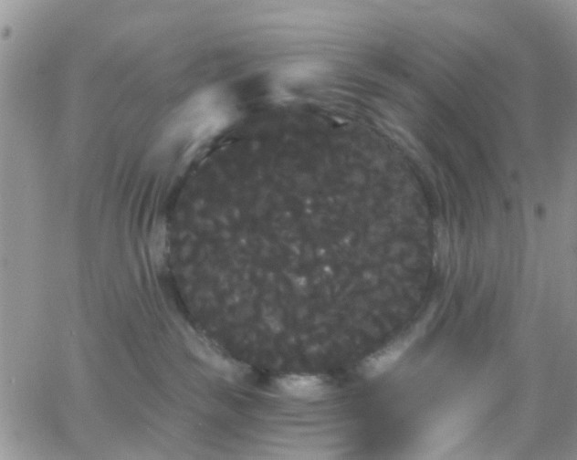 X0000066090189200603171105