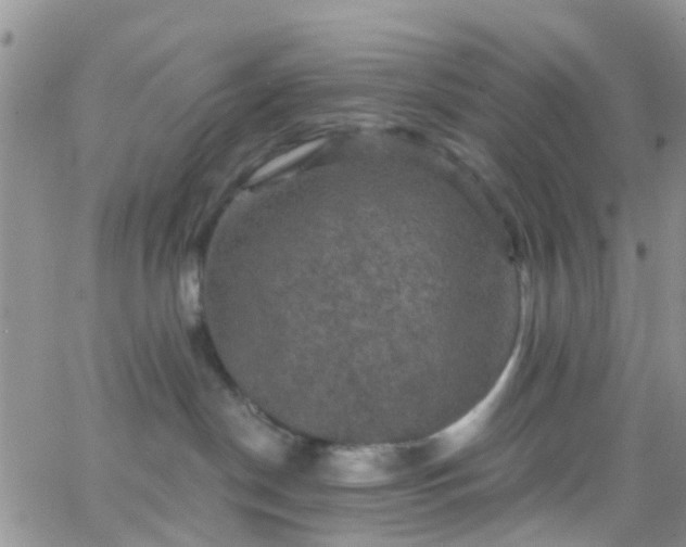 X0000066090190200603171105