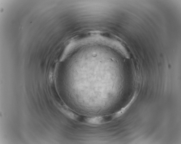 X0000066090191200603171105