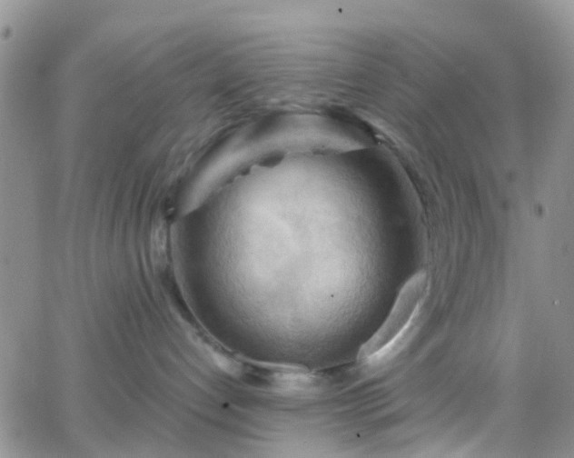 X0000066090192200603171105