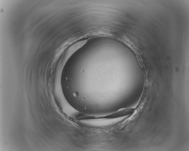 X0000066090193200603171104