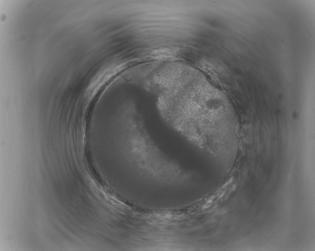 X0000066090194200603171104