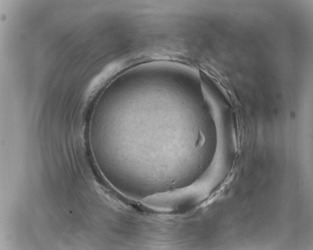 X0000066090197200603171104