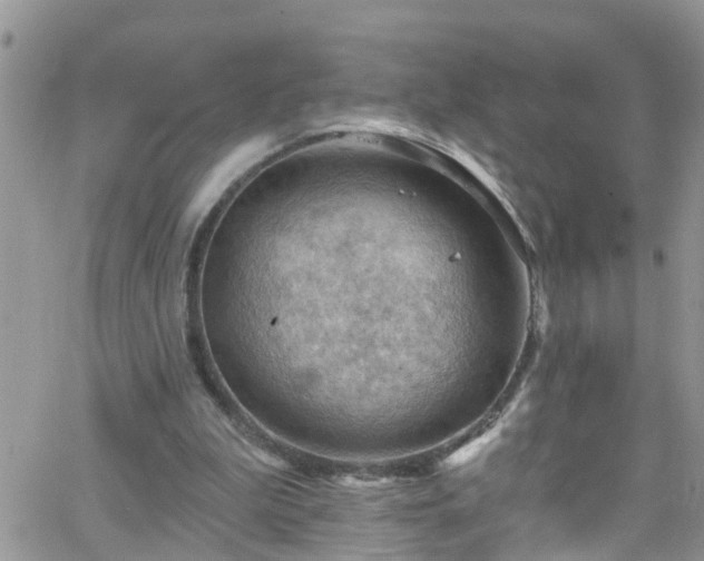 X0000066090199200603171104