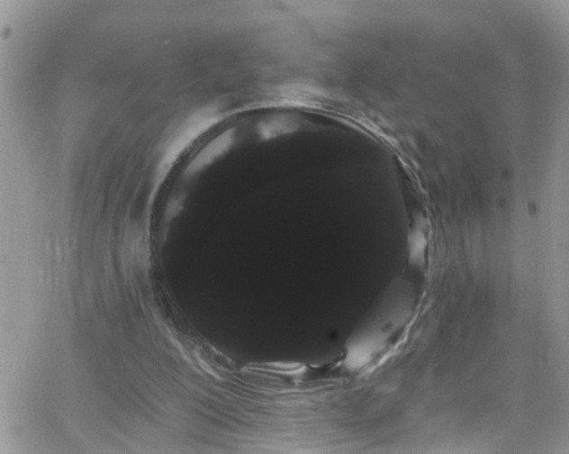 X0000066090200200603171104