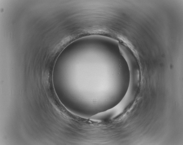 X0000066090201200603171104