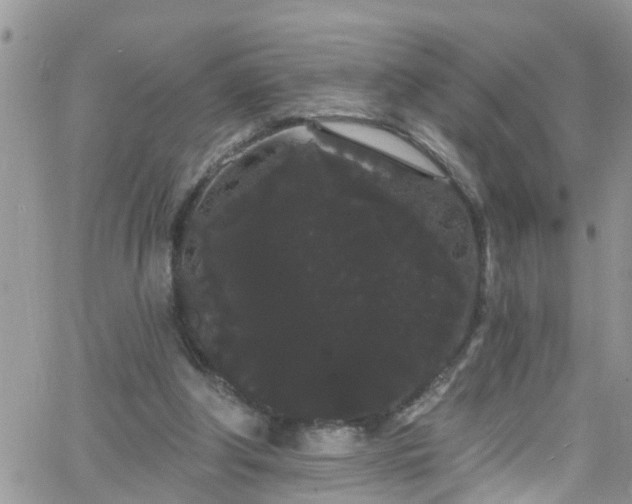 X0000066090202200603171104