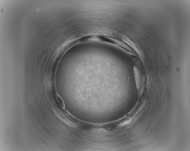 X0000066090203200603171104