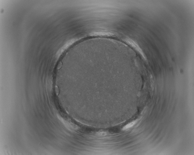 X0000066090204200603171104