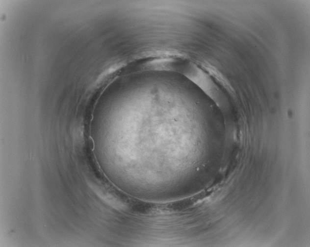 X0000066090207200603171104