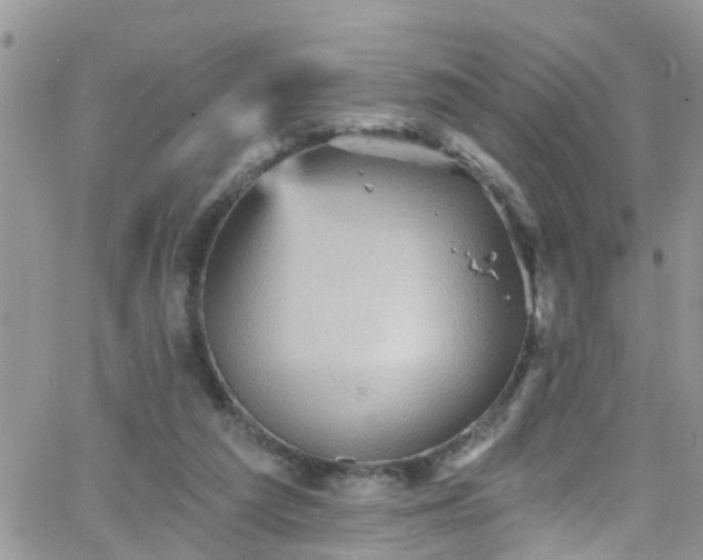 X0000066090209200603171104