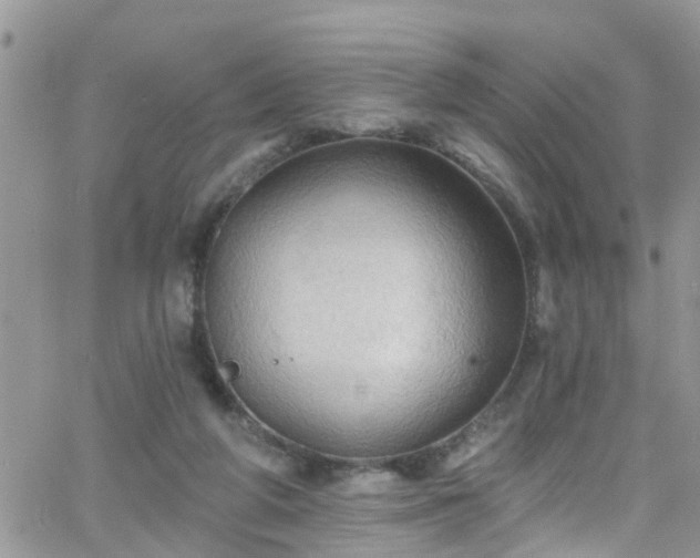 X0000066090210200603171104