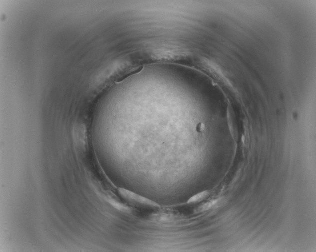 X0000066090211200603171104