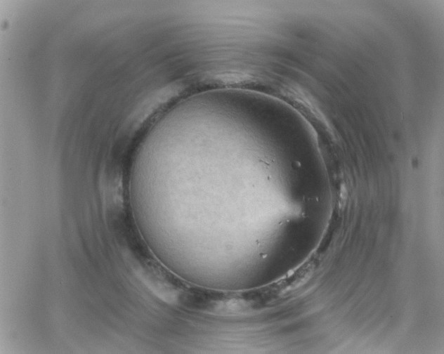 X0000066090212200603171104