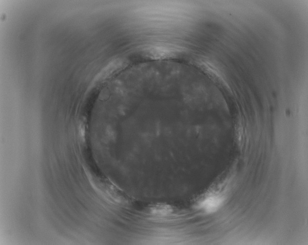 X0000066090214200603171103