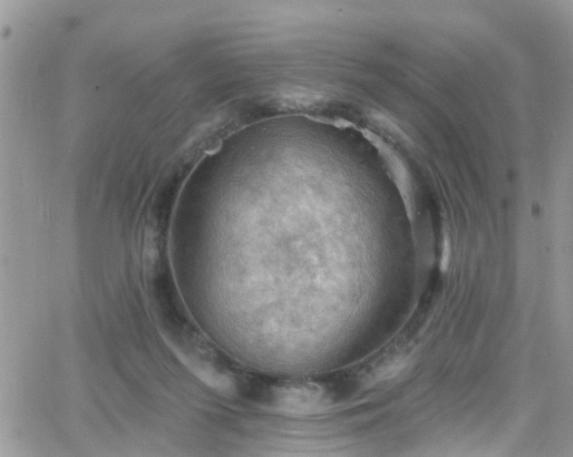 X0000066090215200603171103