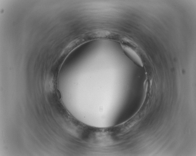 X0000066090216200603171103