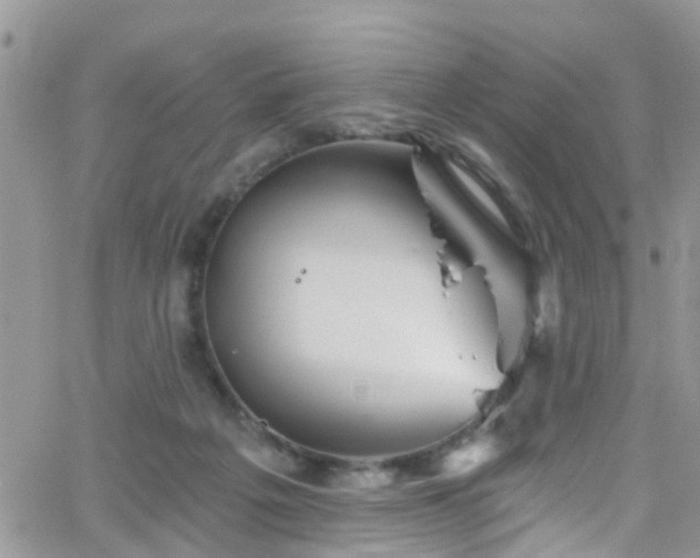 X0000066090217200603171103