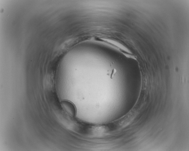 X0000066090218200603171103