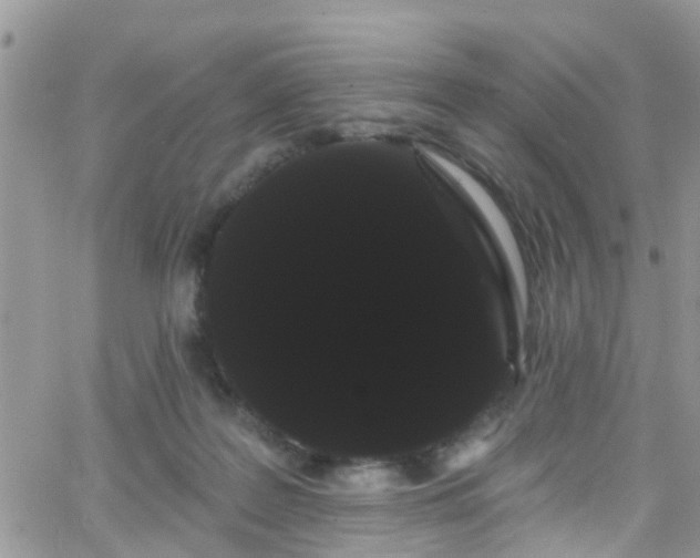 X0000066090219200603171103