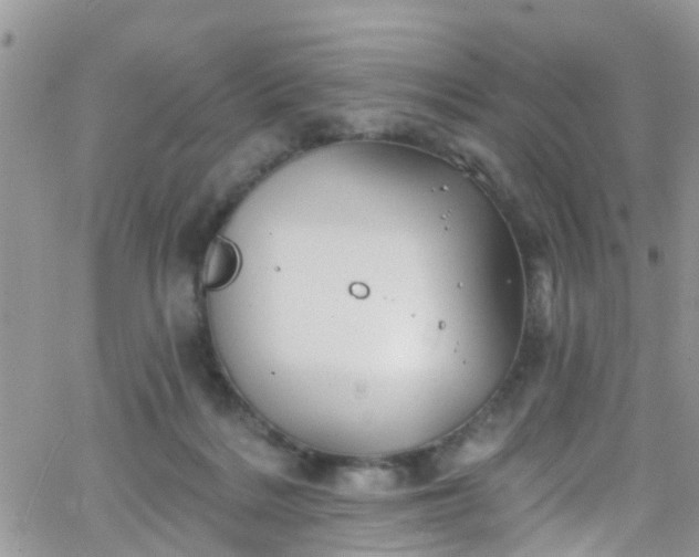 X0000066090220200603171103