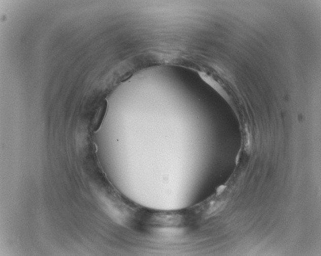 X0000066090221200603171103