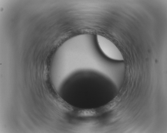 X0000066090223200603171103