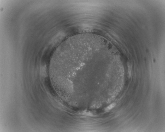 X0000066090224200603171103