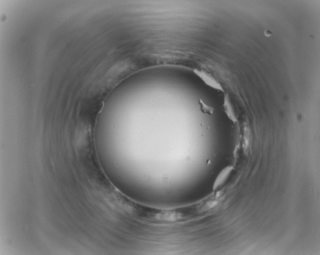 X0000066090225200603171103