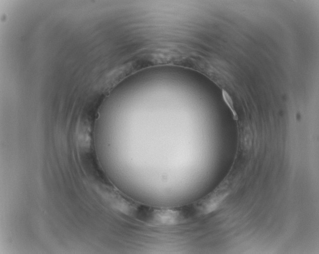 X0000066090226200603171103