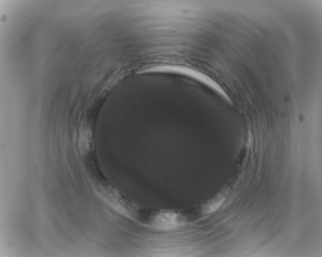 X0000066090227200603171103