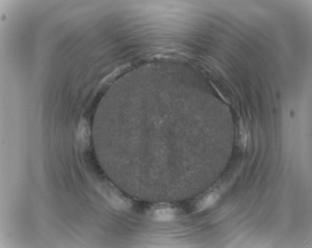 X0000066090228200603171103