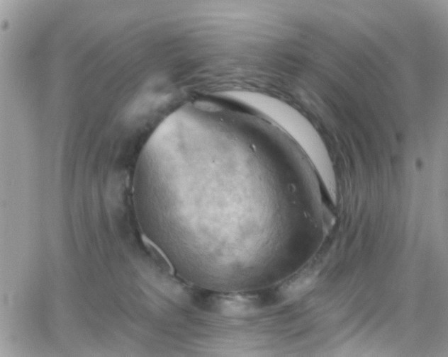 X0000066090229200603171103