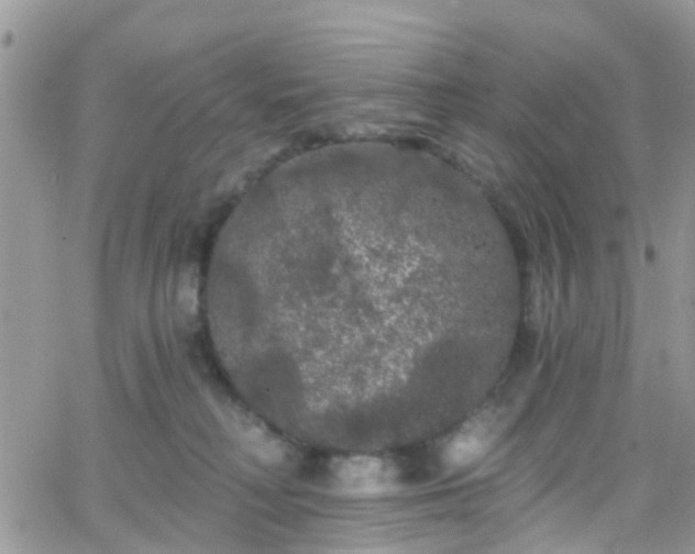 X0000066090230200603171103