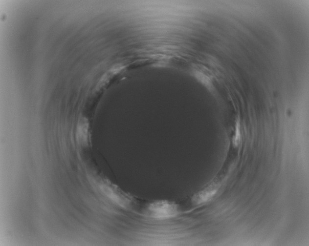 X0000066090231200603171103