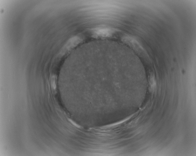 X0000066090232200603171103