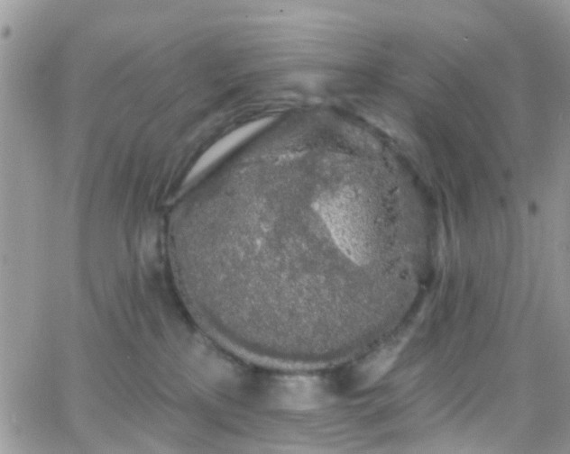 X0000066090233200603171103