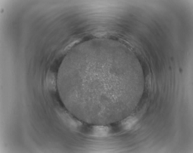 X0000066090234200603171103