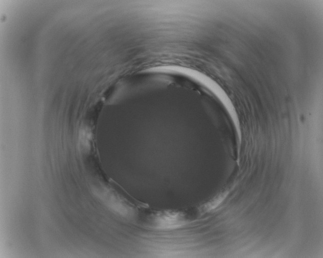 X0000066090235200603171103