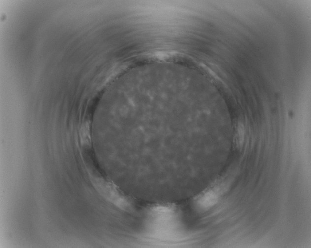 X0000066090236200603171103