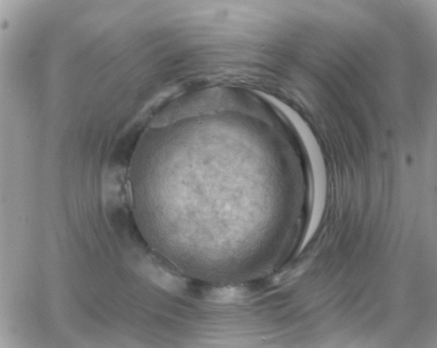 X0000066090237200603171103